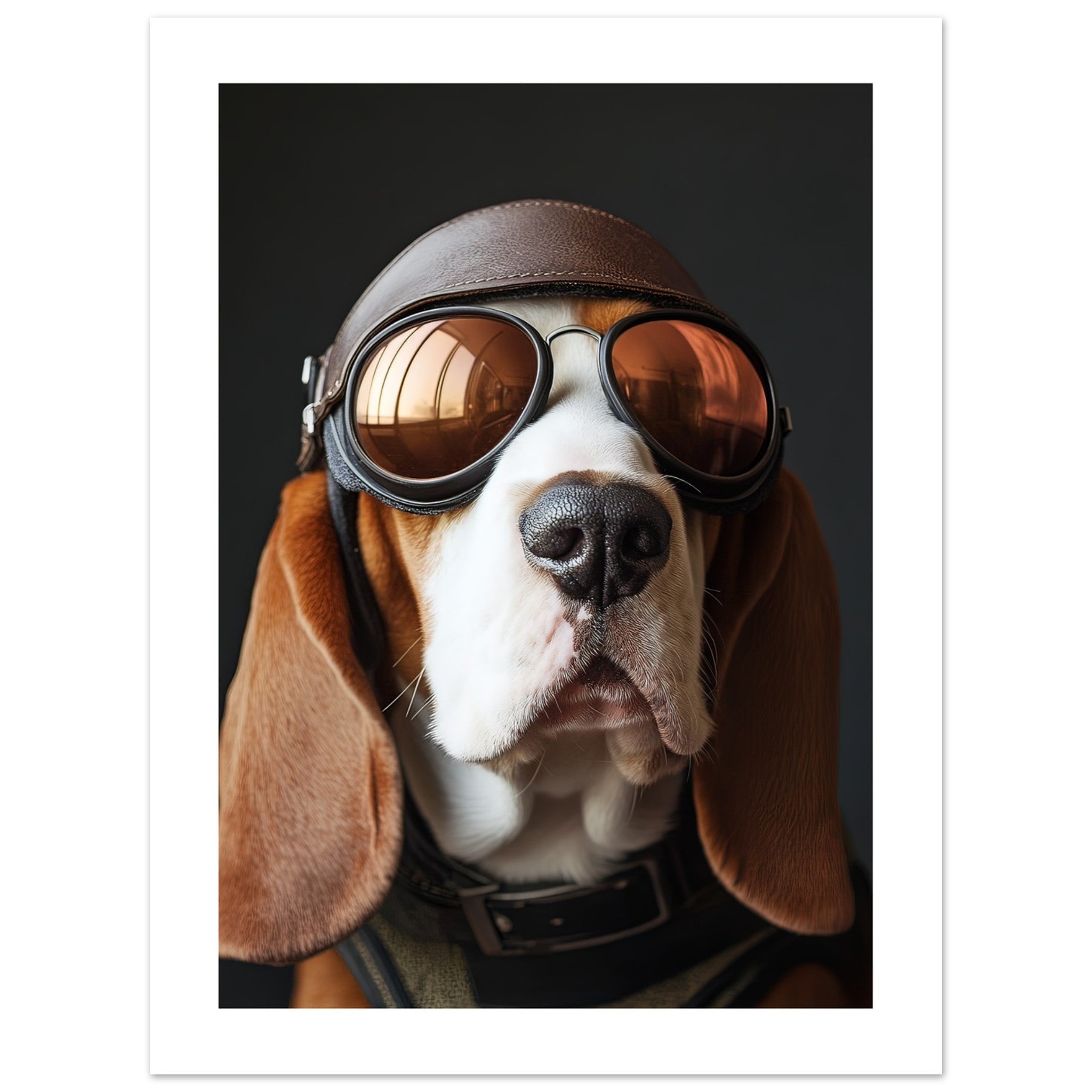 Basset Hound Dog Wearing Pilot Sunglasses 1