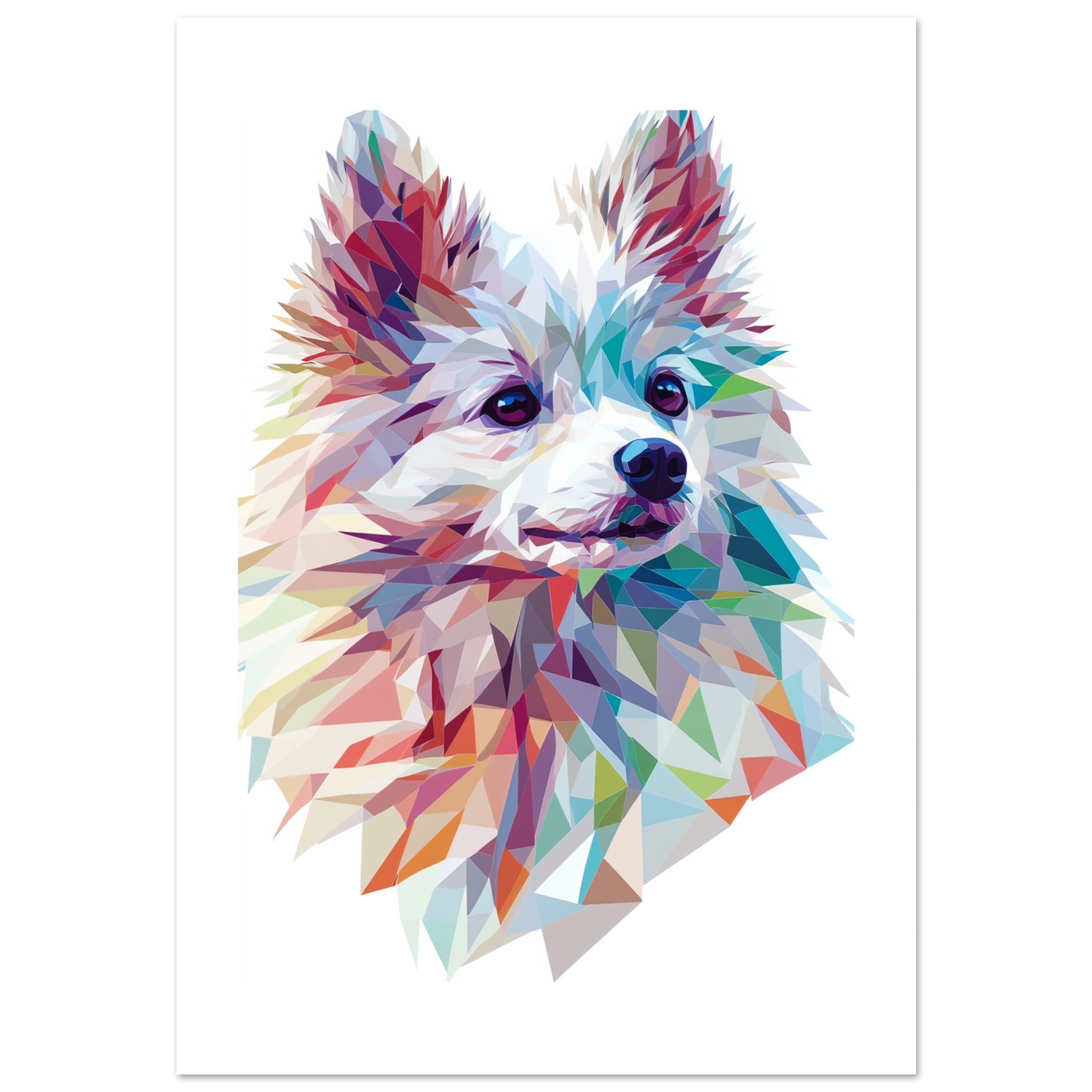 American Eskimo Dog Illustrated with Colorful Triangles
