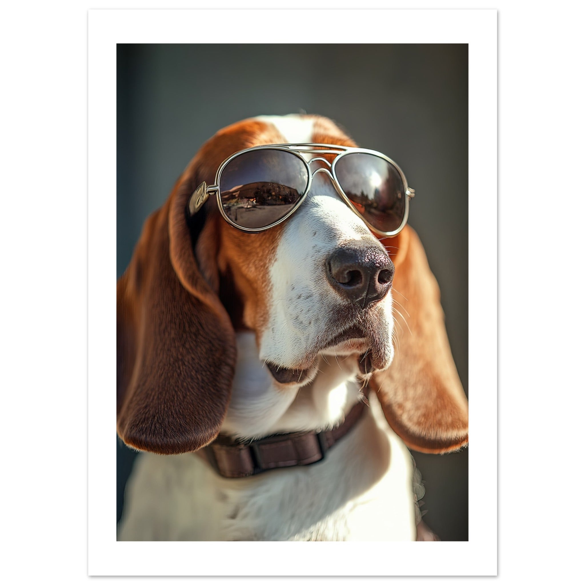 Basset Hound Dog Wearing Pilot Sunglasses 2