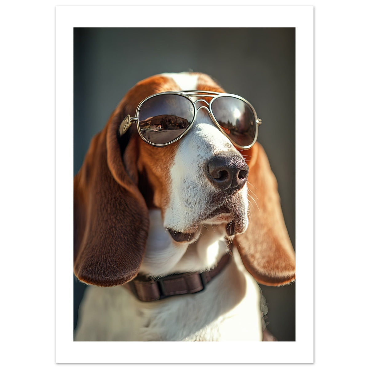 Basset Hound Dog Wearing Pilot Sunglasses 2