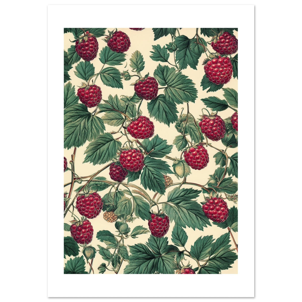 A pattern of Rasberries 1