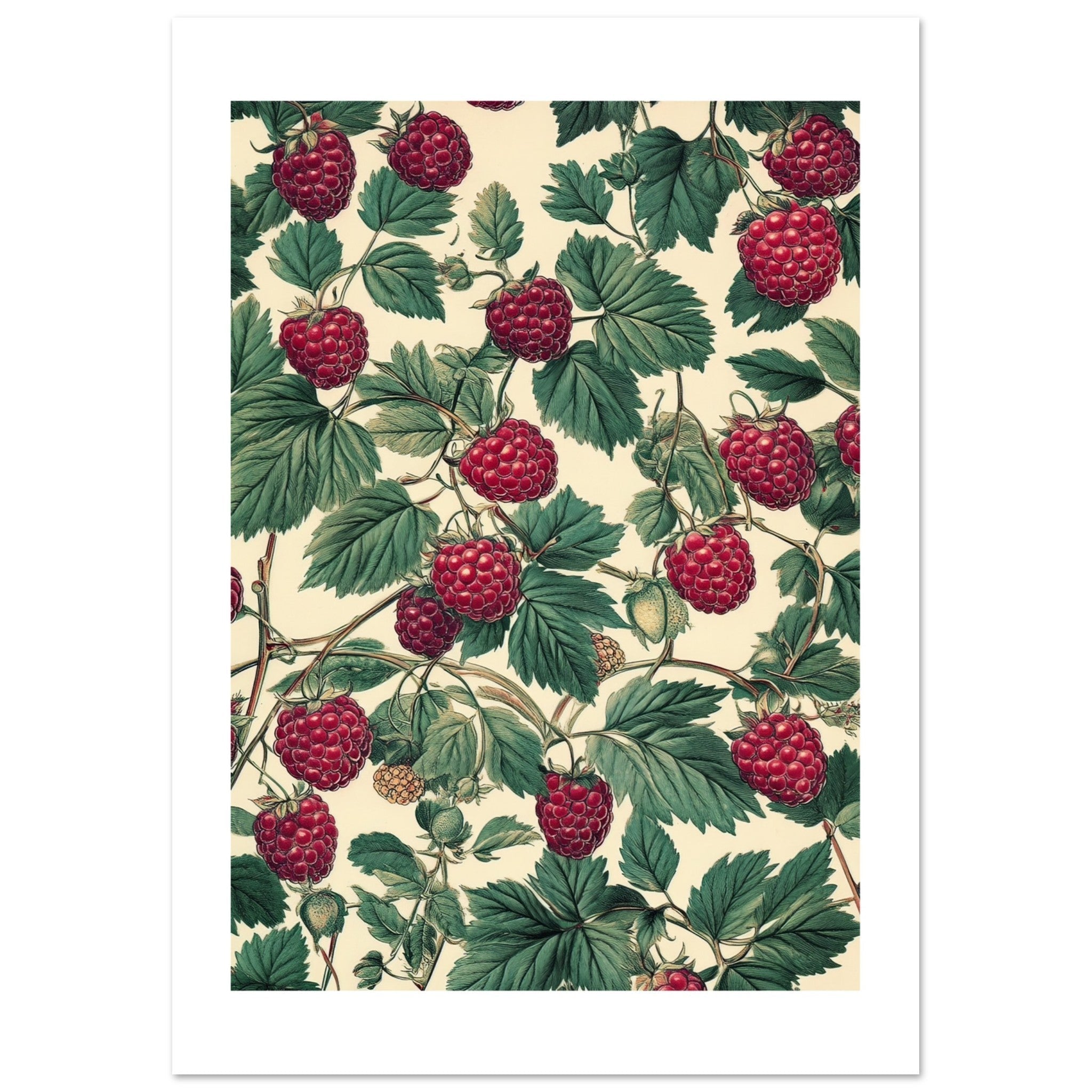 A pattern of Rasberries 1