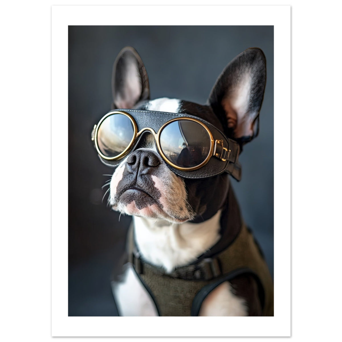 Boston Terrier Dog Wearing Pilot Sunglasses