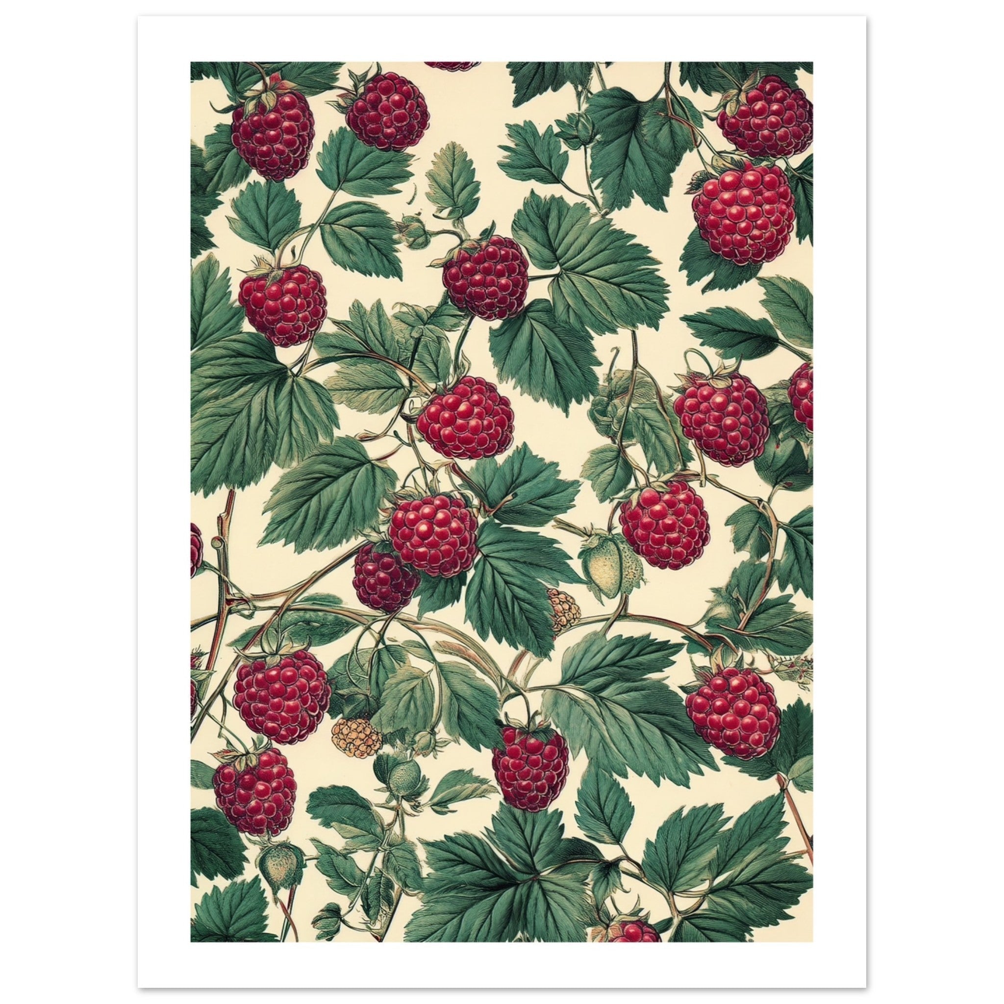 A pattern of Rasberries 1