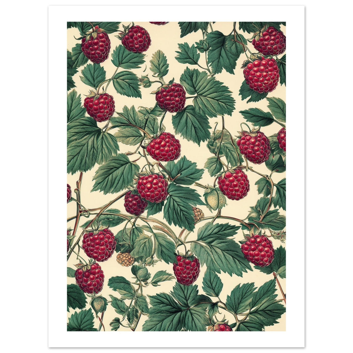 A pattern of Rasberries 1