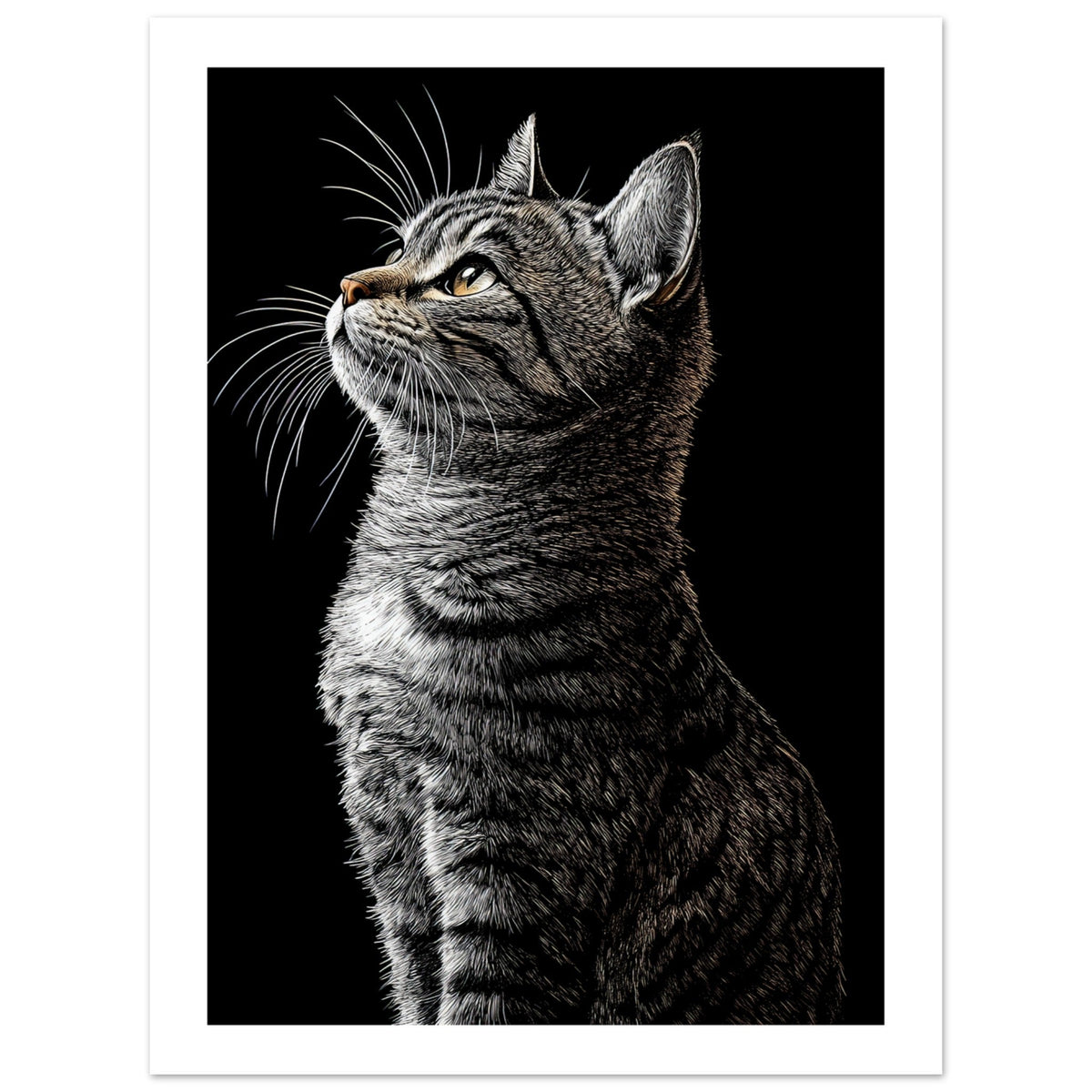 American Shorthair Cat Painted With Tone Pen