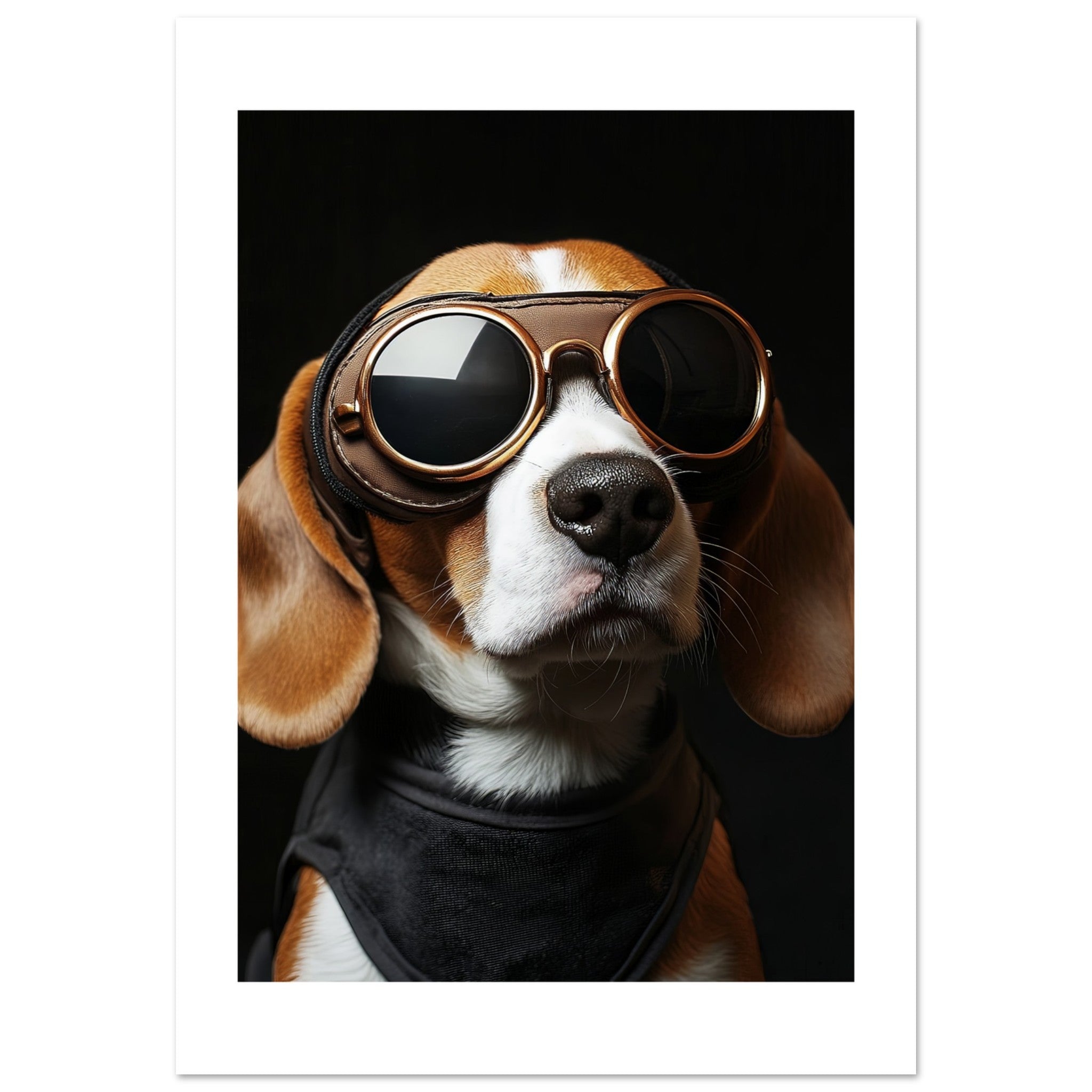 Beagle Dog Wearing Pilot Sunglasses