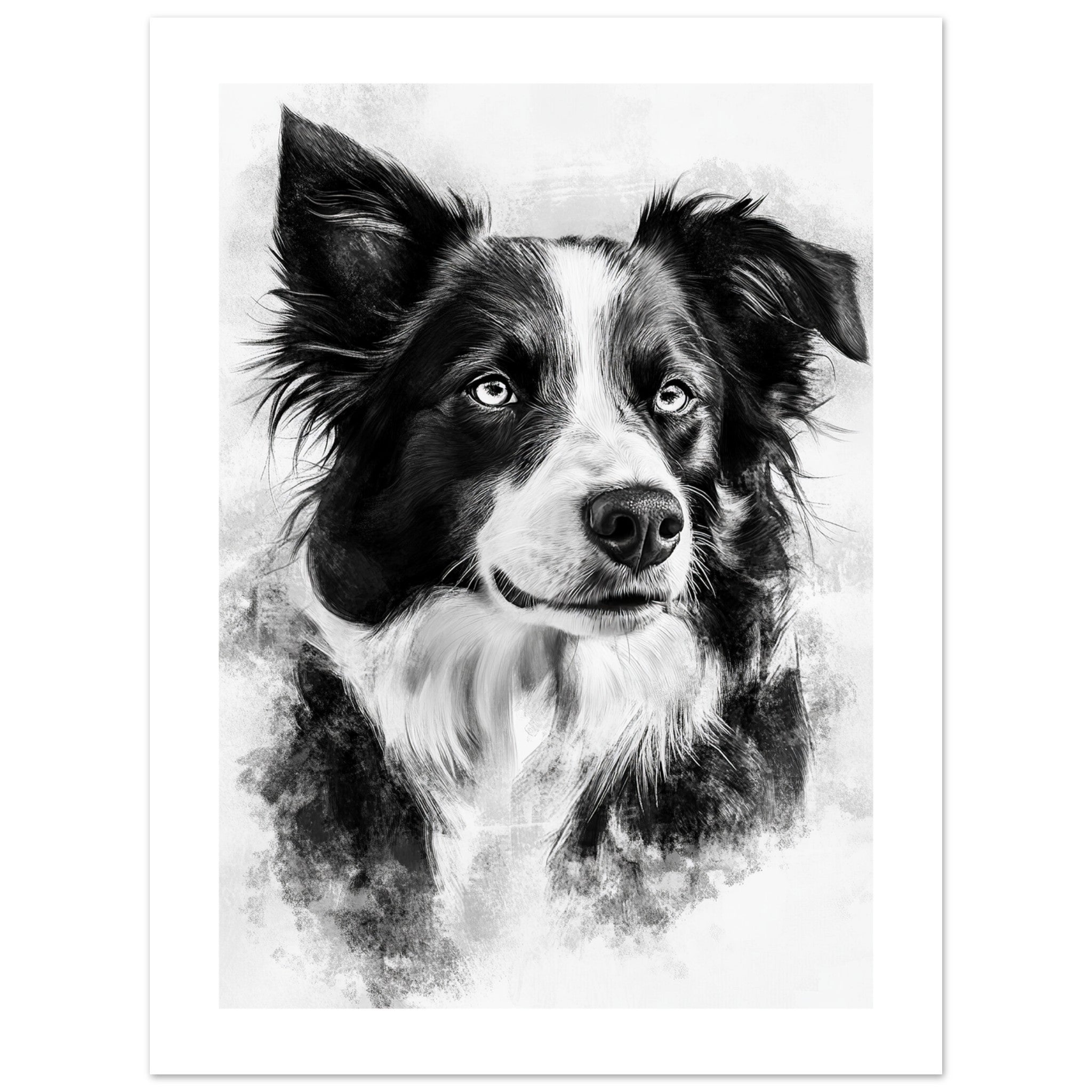 Border Collie Poster / Border Collie Art Work / Border Collie Print