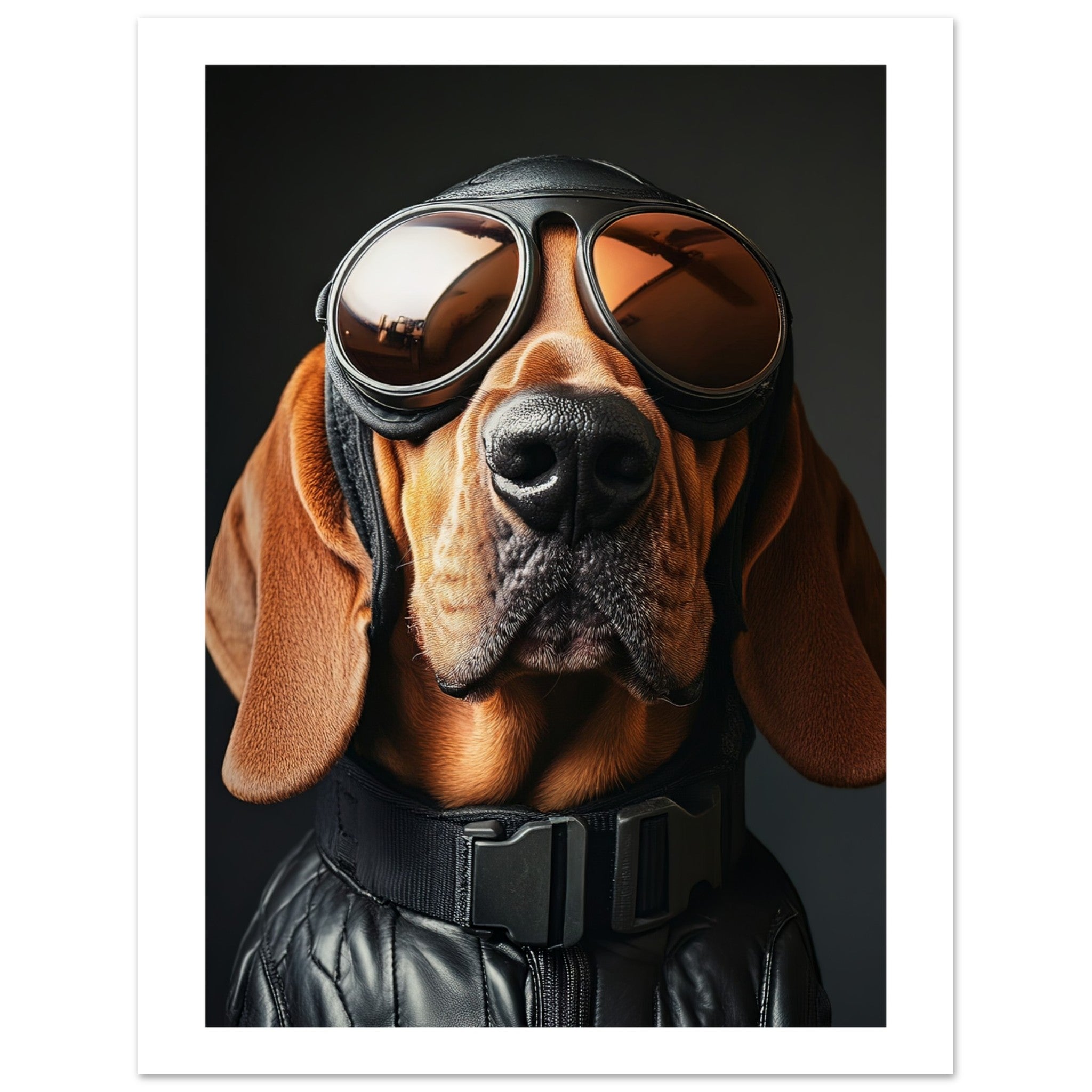 Bloodhound Dog Wearing Pilot Sunglasses 1