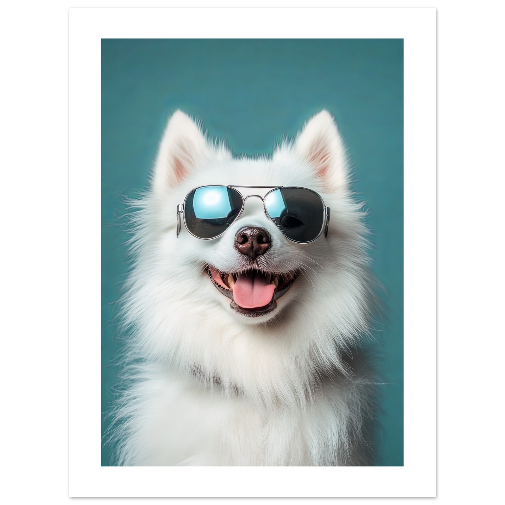 American Eskimo Dog Wearing Pilot Sunglasses