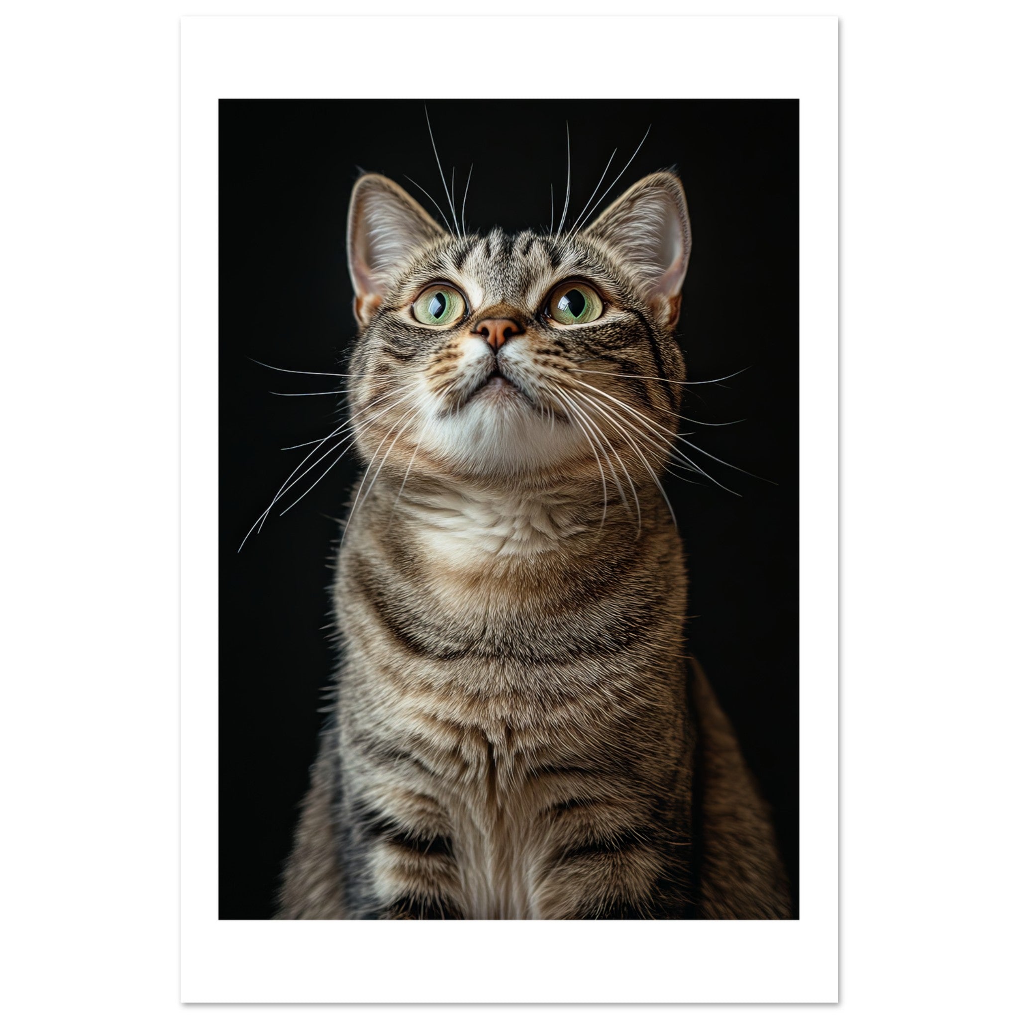 American Shorthair Cat Painted With Tone Pen 1