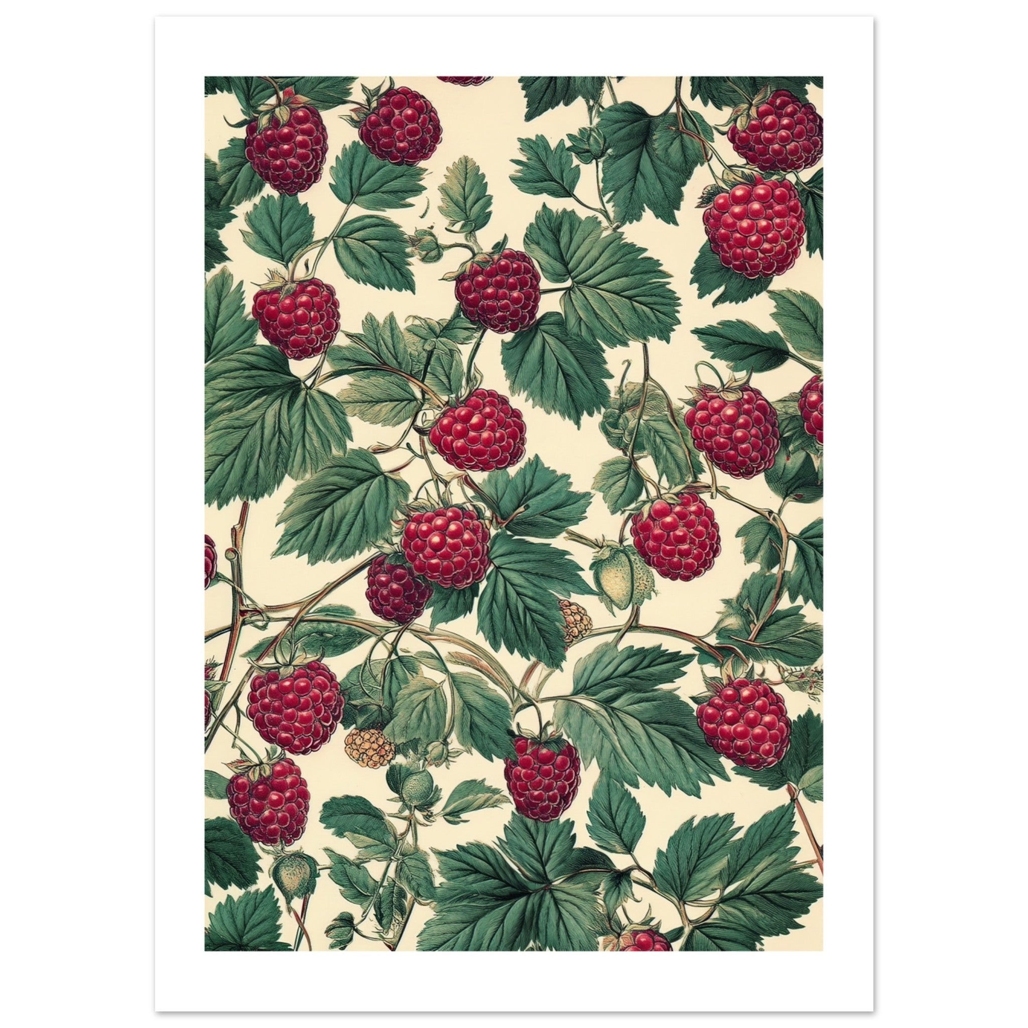 A pattern of Rasberries 1