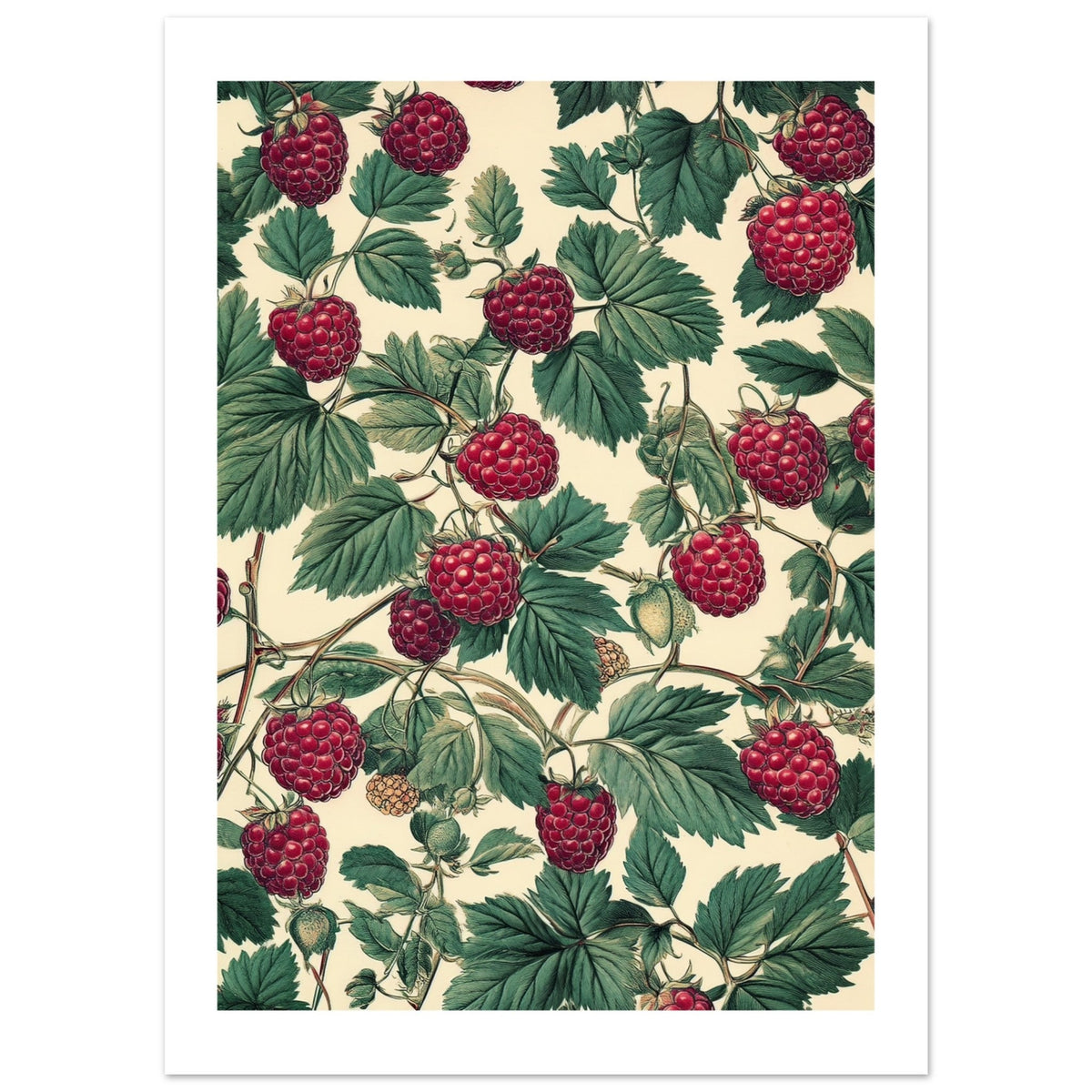 A pattern of Rasberries 1