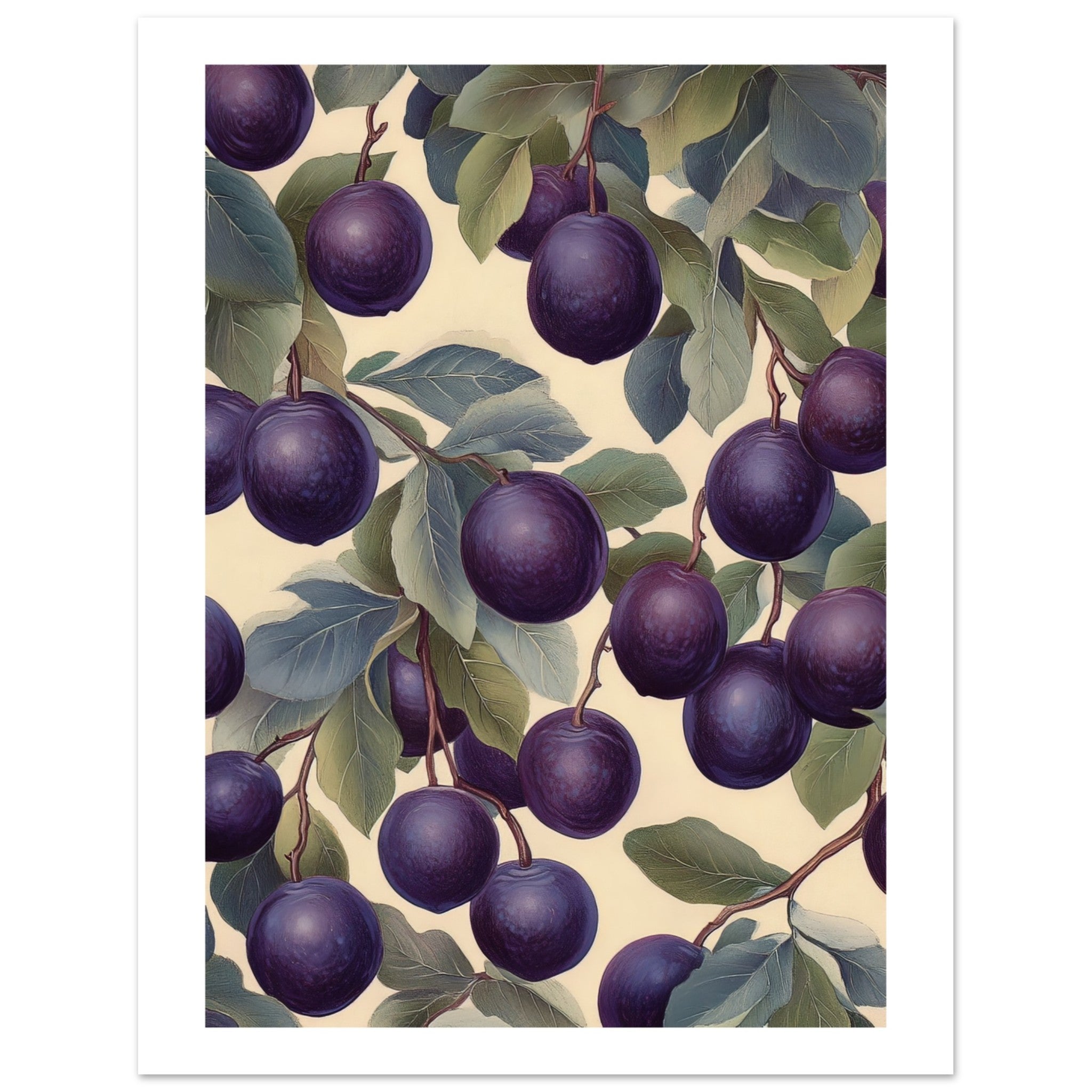 A pattern of Plums 1