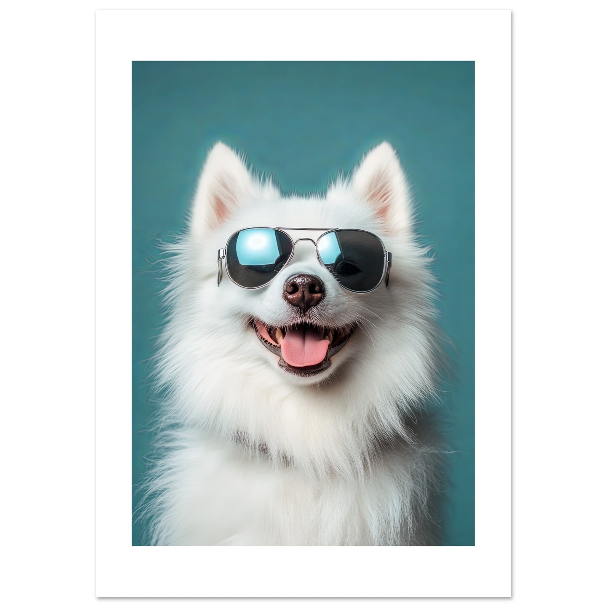 American Eskimo Dog Wearing Pilot Sunglasses