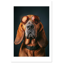Bloodhound Dog Wearing Pilot Sunglasses
