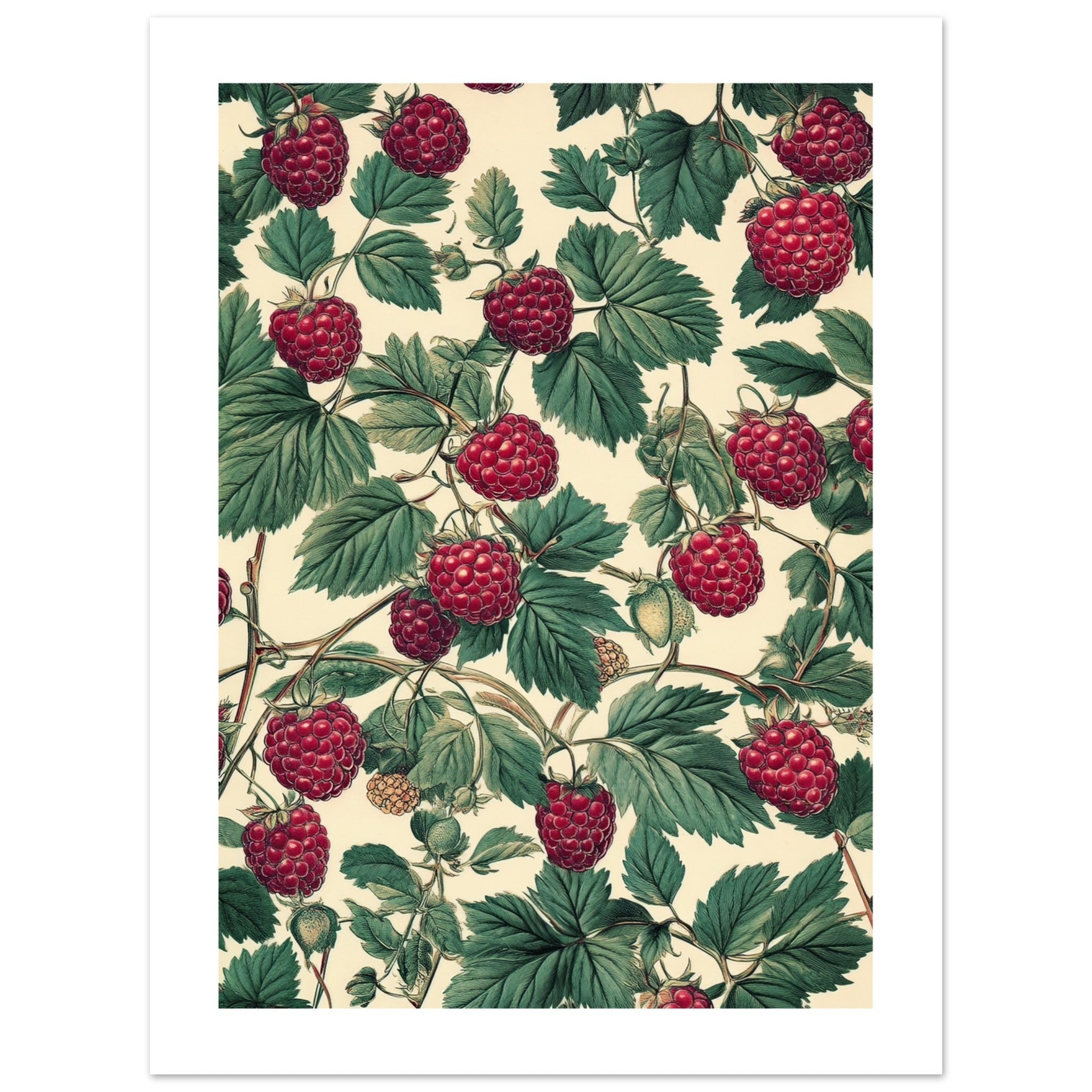 A pattern of Rasberries 1