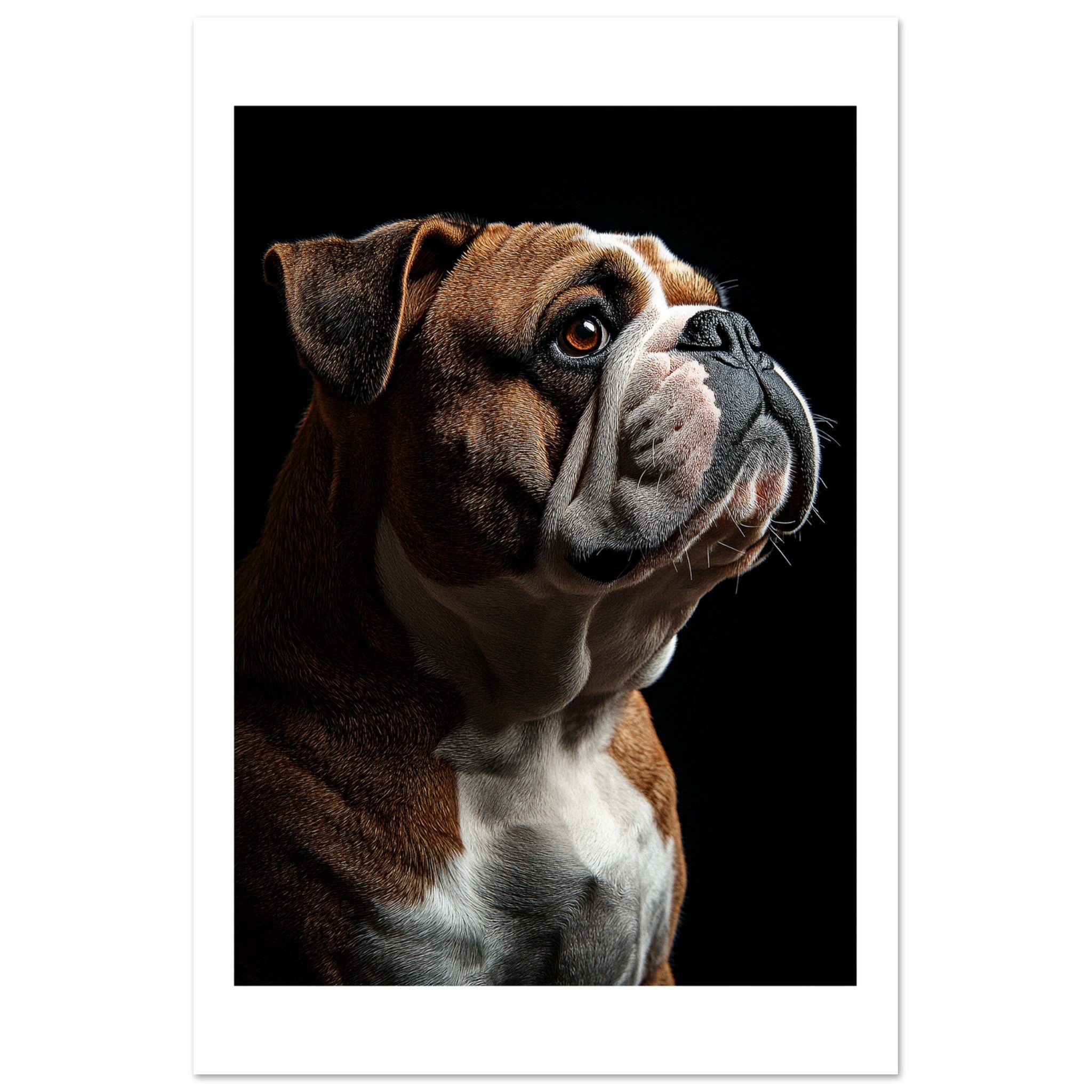 Bulldog Poster / Bulldog Art Work / Bulldog Print