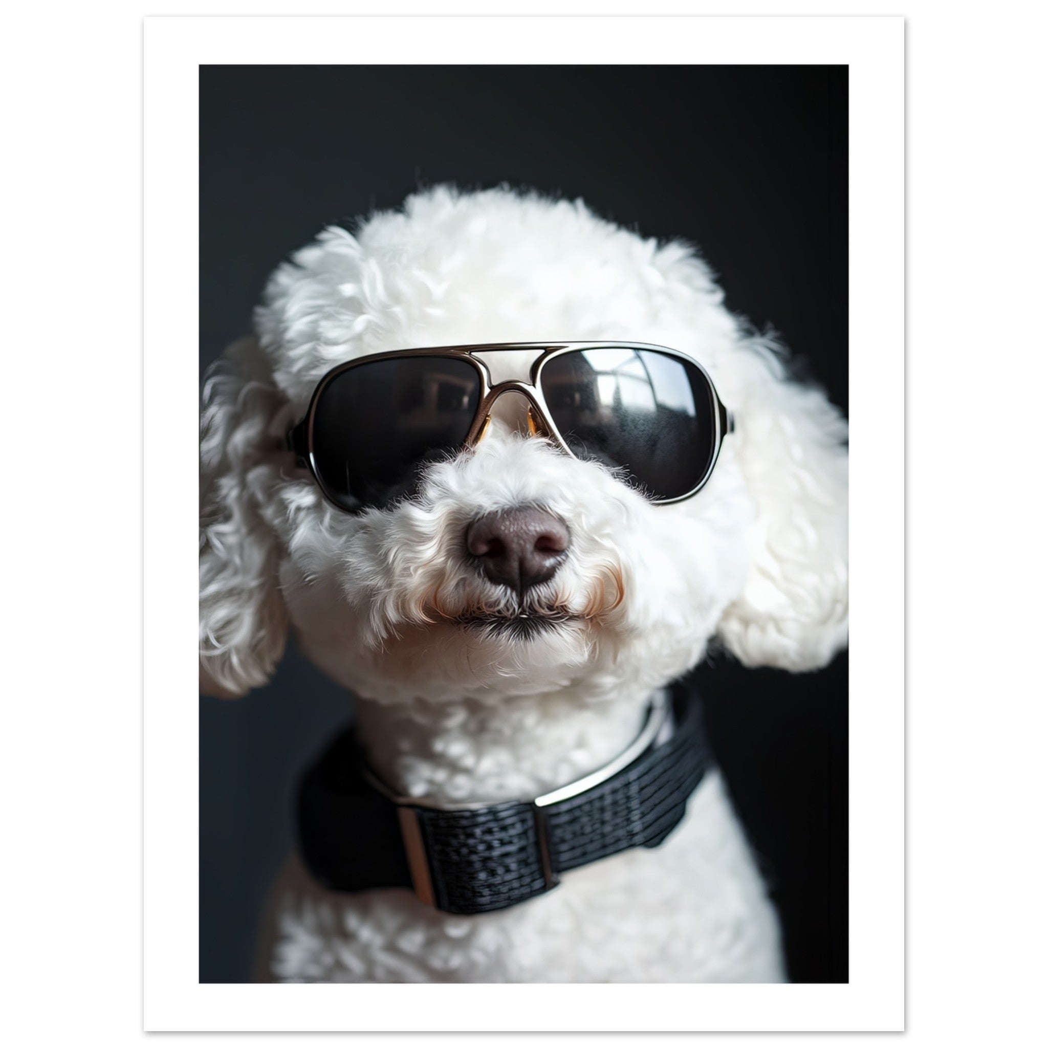 Bichon Frise Dog Wearing Pilot Sunglasses 1