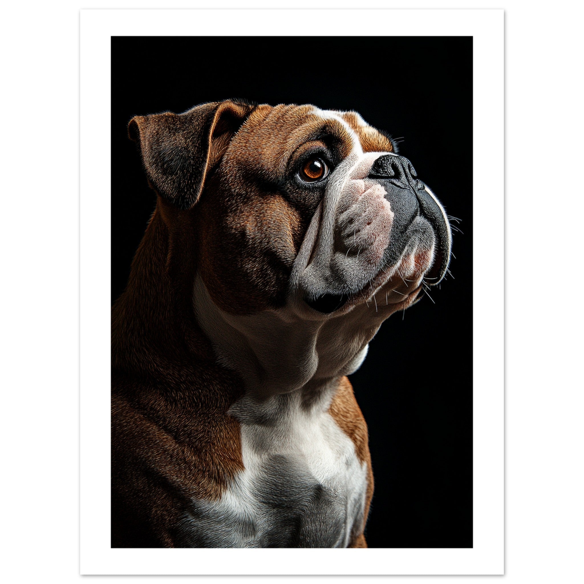 Bulldog Poster / Bulldog Art Work / Bulldog Print