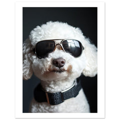Bichon Frise Dog Wearing Pilot Sunglasses 1