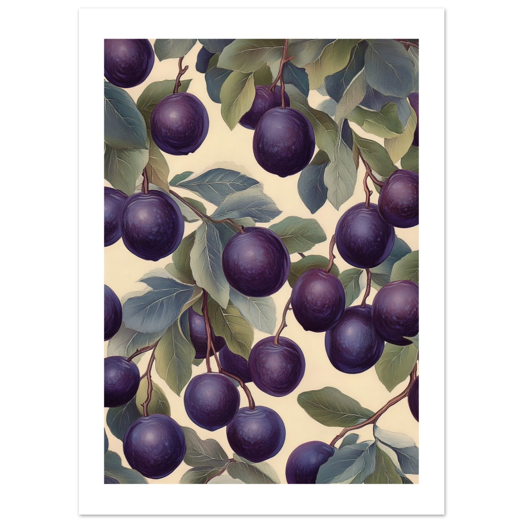 A pattern of Plums 1