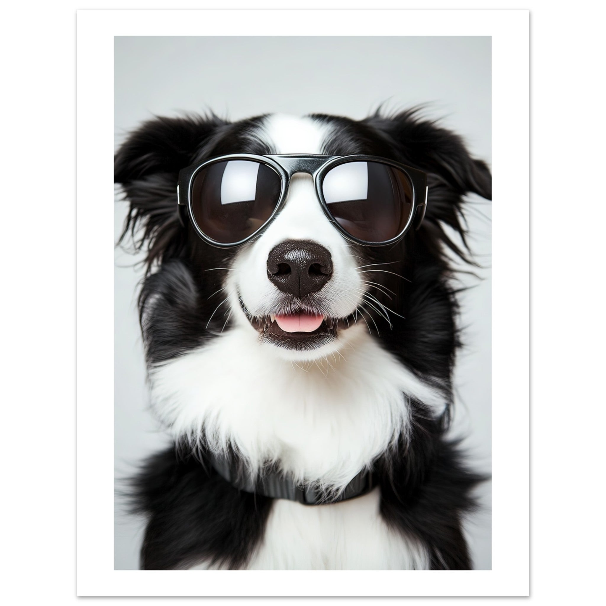 Border Collie Dog Wearing Pilot Sunglasses 3